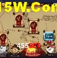 Recursos de Bônus 455Bet